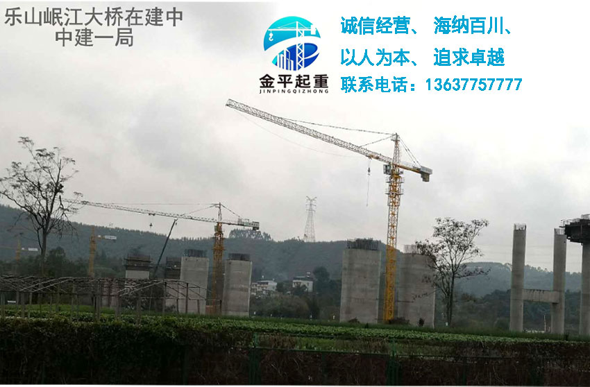 重庆市火狐电竞起重设备安装有限公司   乐山岷江大桥